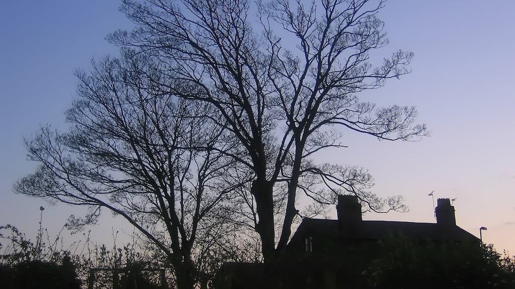 The fourth victim of abuser Michael McCarville said: ‘He came to work on my farm. He groomed me, silenced me, manipulated me and threatened me.’