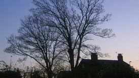 ‘There was no safe place for me at home, he was always there’