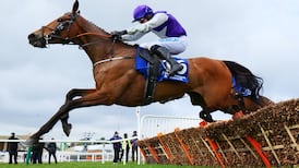 Mrs Milner bidding to put Newbury disappointment behind her at Cheltenham