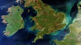 No-deal Brexit threatens ‘innumerable problems’ for environmental projects