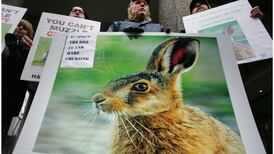 Calls to continue suspension of hare coursing over deadly disease