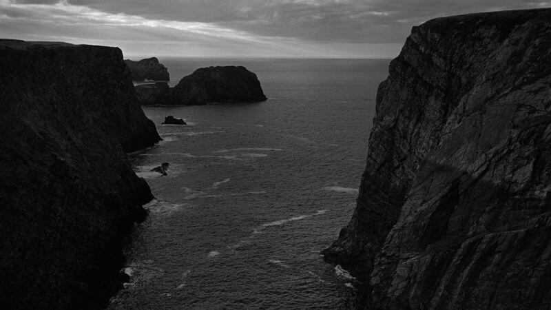 Detail from Fools by Amelia Stein