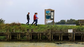 We are sacrificing Ireland’s countryside to business and agricultural interests