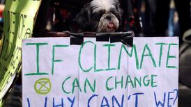 Ireland needs to be turned ‘entirely on its head’ to tackle climate change