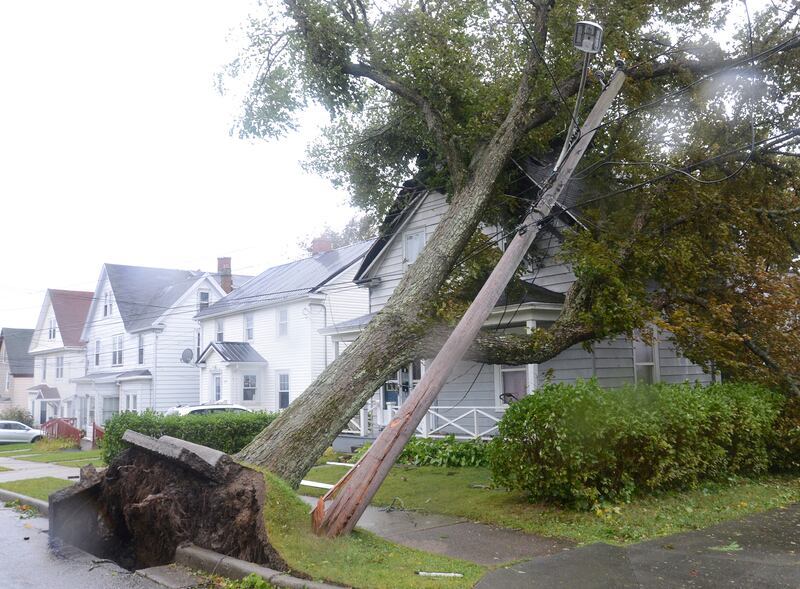 Fallen trees lean against a house in Sydney, Nova Scotia, as Storm Fiona makes landfall. Photograph: Vaughan Merchant/The Canadian Press via AP