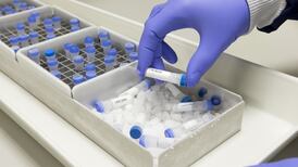 Open Orphan signs option to acquire company for ‘nominal sum’