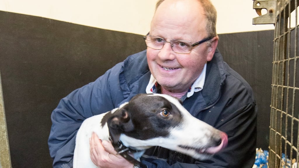 Greyhound trainer Graham Holland at his home in Golden, Co Tipperary after getting Clares Rocket back. Photograph: Liam Burke/Press 22