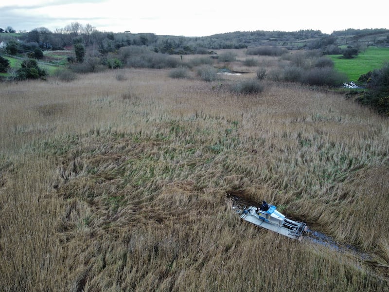 An amphibious machine removing scrub from Lecale Fens near Downpatrick where two breeding pairs of lapwings have been spotted following efforts by Ulster Wildlife and local farmer John Crea. Photograph: Ulster Wildlife/PA Wire
