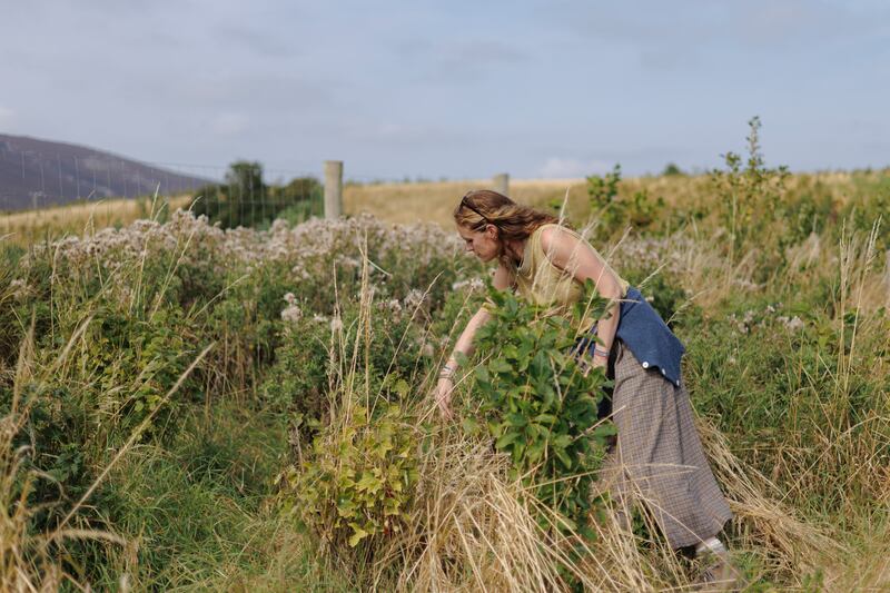 Anke: 'I think that’s kind of hopeful as well … how quickly it recovered.' Photograph: Dan Dennison
