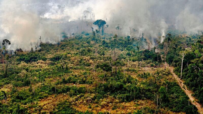 View of a burnt area in the Amazon rainforest, near Porto Velho, Rondonia state, Brazil, on August 25th, 2019. Photograph: Carl de Souza/AFP/Getty Images
