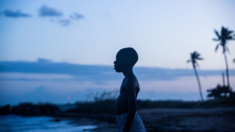 The fightback: for the constituencies excluded and alarmed by the rise of Trump, it’s Moonlight