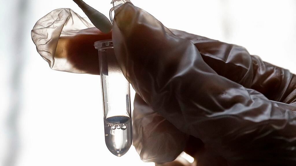 Testing for the coronavirus. Photograph: AP