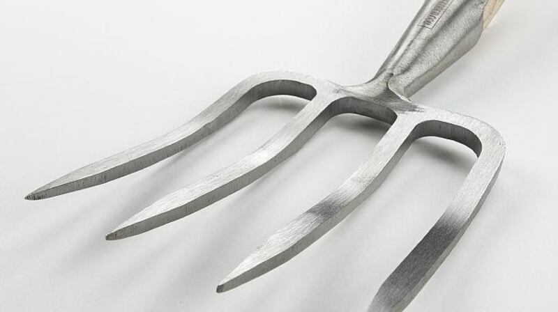 Great Dixter garden fork from Sneeboer (thetoolforge.ie €68.49)