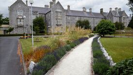 Mental hospital order for child-abduction  accused  quashed