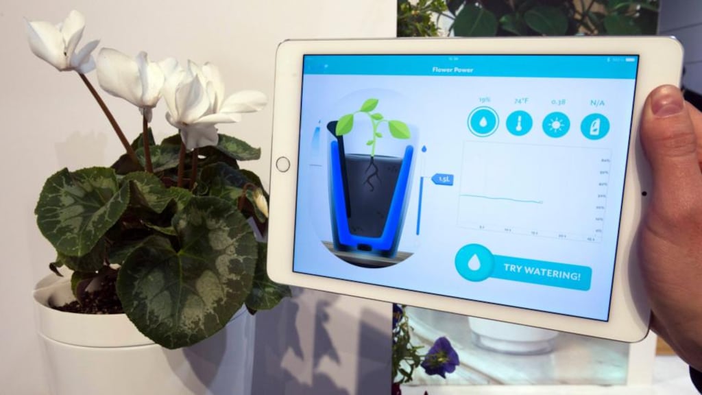 The Parrot Pot allows for remote watering. Photograph: Steve Marcus/Reuters