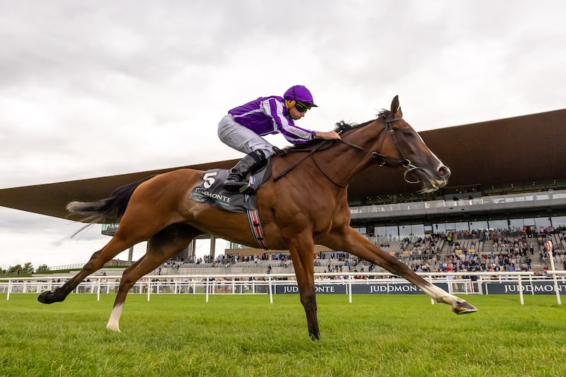 Codes collide for rare clash of Aidan O’Brien and Willie Mullins in Breeders’ Cup feature