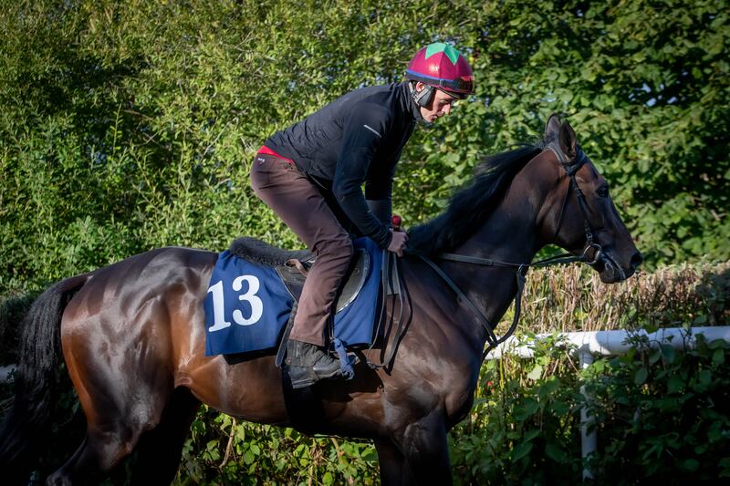 JJ Slevin onboard Al Riffa at trainer Joseph O’Brien’s yard. Al Riffa secured Group One success in Germany last month when landing the Grosser Preis Von Berlin. Photograph: Morgan Treacy/Inpho