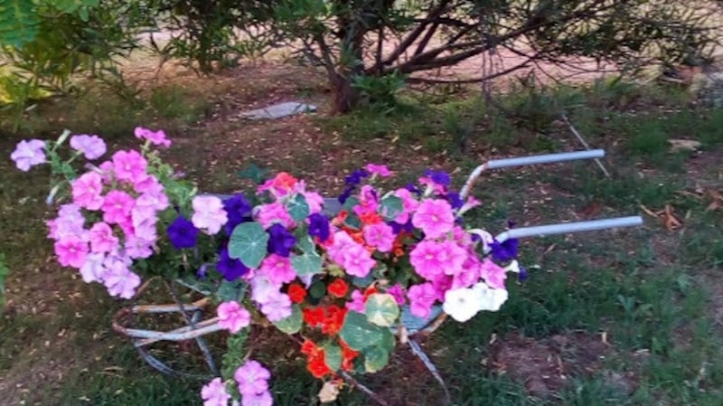 Gerald Faulkner: ‘By 10am, it’s starting to fry.’