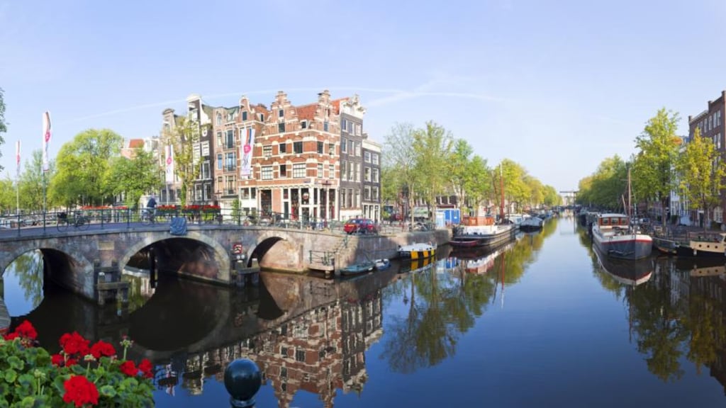 Despite deep cuts in public spending, Amsterdam’s city council allocated an initial €20,000 to fund a six-month trial to shelter animals owned by victims of domestic violence. Photograph: Peter Adams