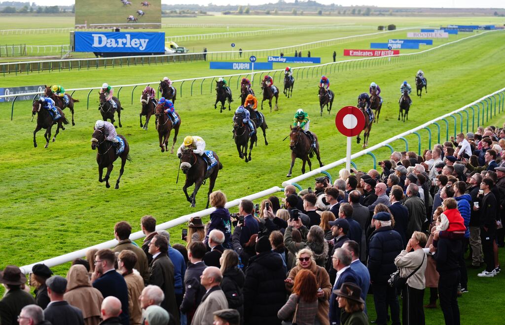 Alphonse Le Grande ridden by Jamie Powell (yellow cap) coming home to win the Club Godolphin Cesarewitch Handicap at Newmarket on Saturday. Powell was later disqualified for using his whip too many times. Photograph: Mike Egerton/PA Wire for The Jockey Club.
RESTRICTIONS: Editorial Use only, commercial use is subject to prior permission from The Jockey Club/Newmarket Racecourse.