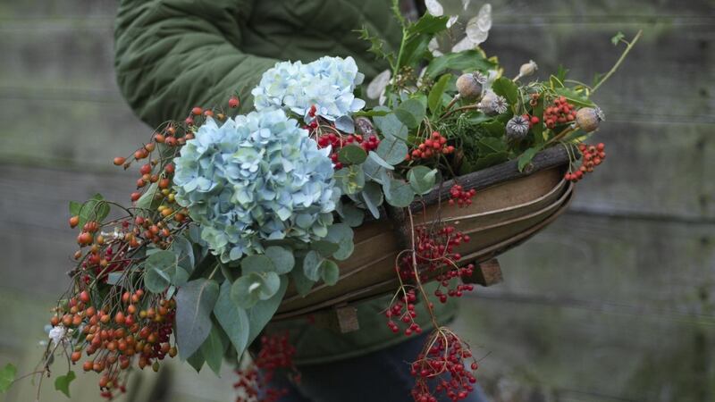 Foraging for Christmas decorations in the garden. Photograph: Richard Johnston