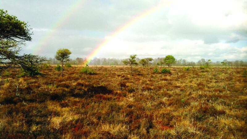 Unique perspective: a double rainbow over Girley bog. Photograph: Catherine O’Connell/IPCC