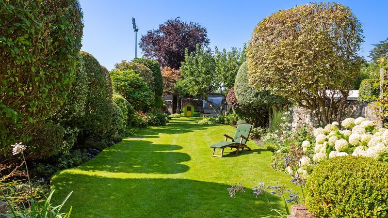 Westerly back garden