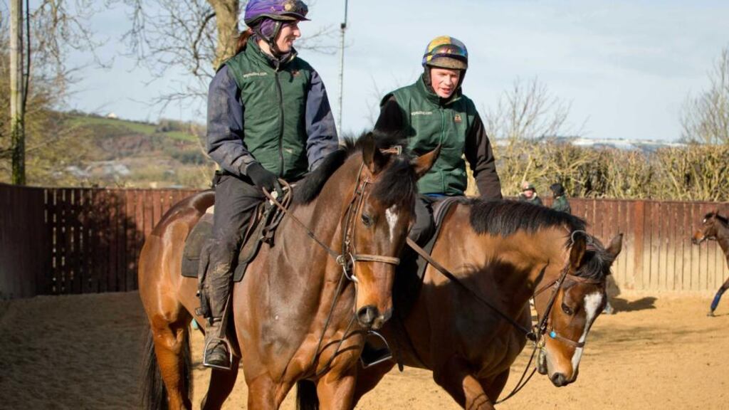 Douvan (left) and Vautour in Willie Mullins’s yard in Closesutton, Bagenalstown, Co Carlow. Photograph: Morgan Treacy/Inpho