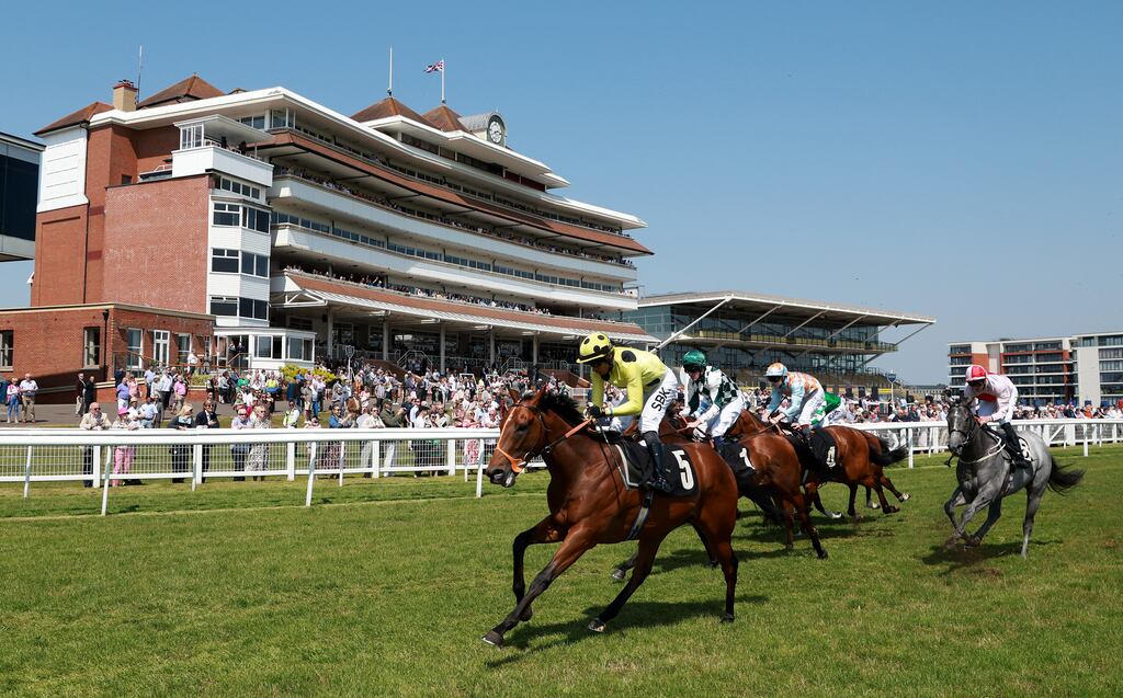 Rosallion ridden by Sean Levey (yellow and black silks) at Newbury in 2023. Photograph: Warren Little/Getty Images
