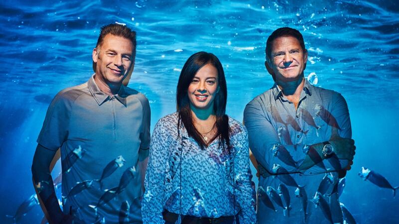 Blue Planet Live: Chris Packham, Liz Bonnin, Steve Backshall. Photograph: BBC/Joe Giacomet