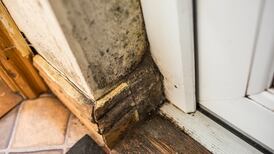 Washing, cooking and breathing blamed for mould in Dublin council flat complexes
