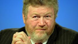 Draft mother and baby homes inquiry terms circulated