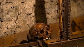 In pictures: Damaged remains of a crusader and a man buried alive in crypt at St Michan’s