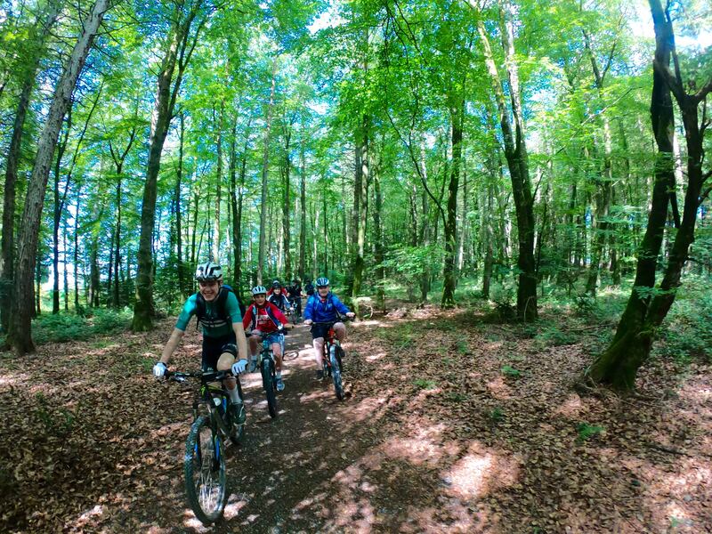 Mountain biking in the Slieve Blooms. Photograph: Mid-Ireland Adventure