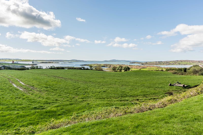 View from front garden: Neighbours include actor Jeremy Irons at Kilcoe Castle, and many of the surrounding properties have been snapped up over the years by high-profile media and film people.