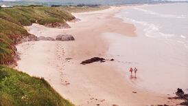 Should Brittas Bay become a nature reserve?