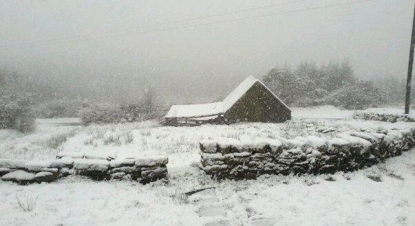 Snowfall in Co Leitrim. Photograph: Twitter/KellySarahW