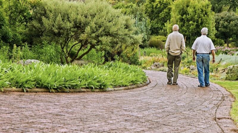 Activities at Men’s Sheds can involve anything from walking to music sessions to putting up bird boxes.