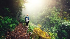 Madeira – an island of sensory splendour