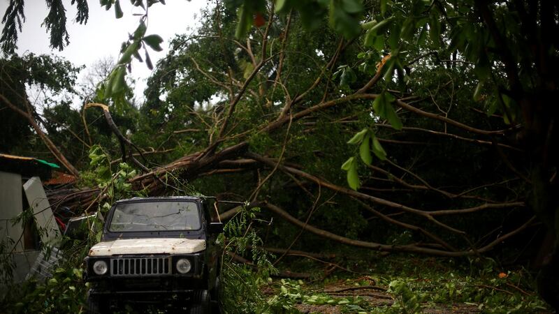 A fallen tree is pictured as Hurricane Irma moves off the northern coast of the Dominican Republic, in Puerto Plata, Dominican Republic, September 7, 2017. Photograph: Reuters/Ivan Alvarado
