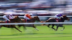 Turf Club alerts trainers and jockeys to ‘non-trier’ rules