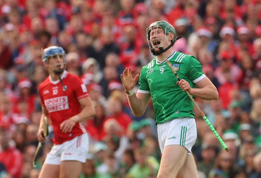 Limerick's William O'Donoghue during the Munster Final against Cork. Photograph: James Crombie/Inpho