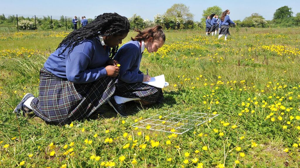 Rose Ugoh and Isabella Pentony at work on the Ashbourne Ecological Survey.