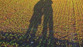 Found in translation: giving voice to those who wrote ‘Hebrew Bible’