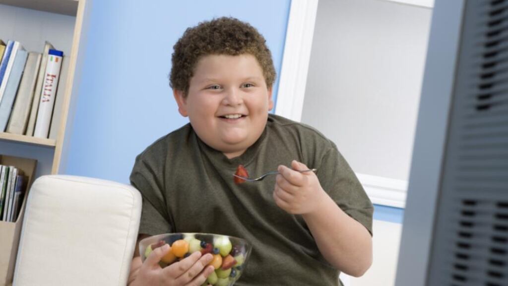 ‘A health problem as sticky as obesity needs to be treated with sensitivity and tact, and I daresay one-on-one professional help to decode the emotions that food arouses.’ Photograph: Getty Images