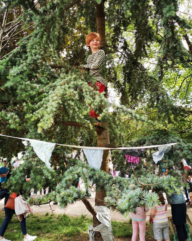 Summer Pix 2019: boy in a tree. Photograph: Stephen McMullin