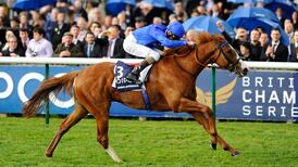 Toronado may be a better option in St James’s Palace Stakes at Royal Ascot