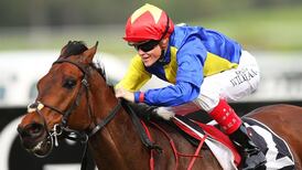 Fascinating Rock to land emotional Group Three success for  Dermot Weld