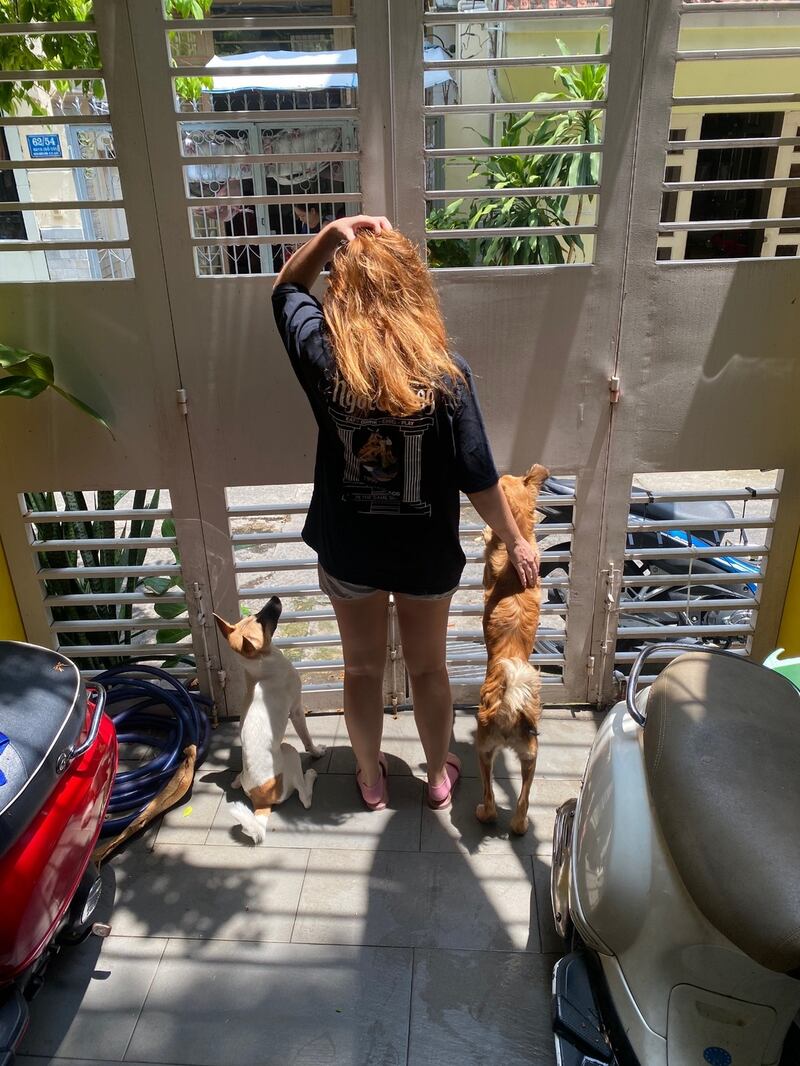 Luckily for my two foster dogs, Milk and Lord, rules don’t apply to non-humans, so I’ve been able to let them run a little in the alley in front of my house