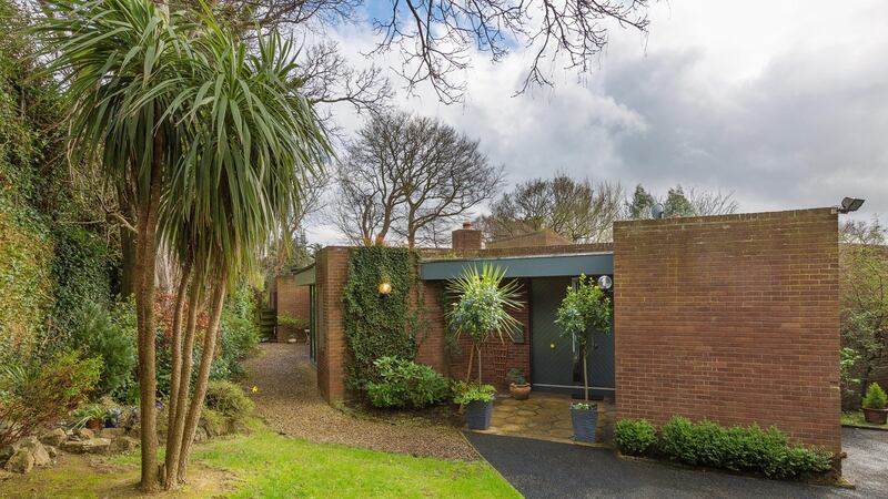 Sheltered and filled with mature trees and plants: the garden of Demarco, Violet Hill, Church Road, Killiney